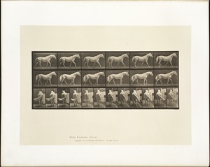 Animal locomotion. Plate 576