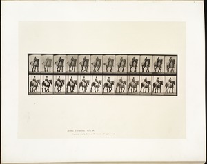 Animal locomotion. Plate 578