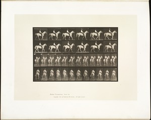 Animal locomotion. Plate 579