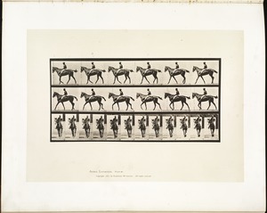 Animal locomotion. Plate 580
