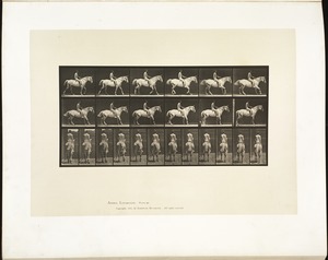 Animal locomotion. Plate 582