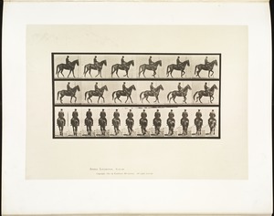 Animal locomotion. Plate 584
