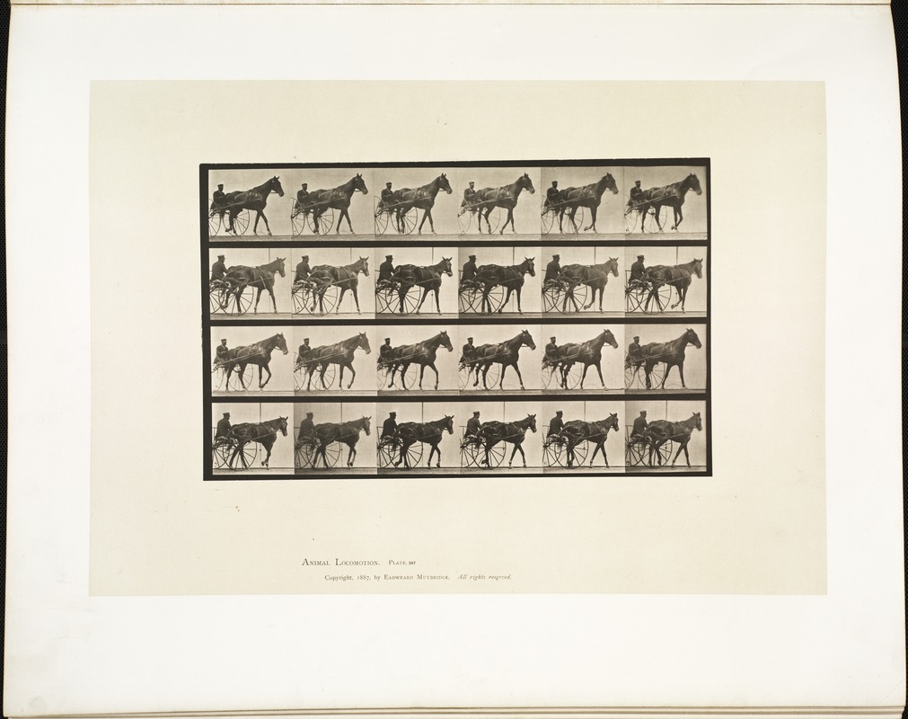 Animal locomotion. Plate 587