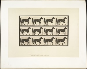 Animal locomotion. Plate 588