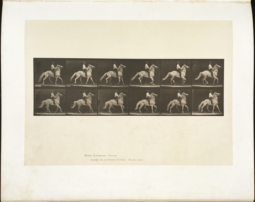 Animal locomotion. Plate 589