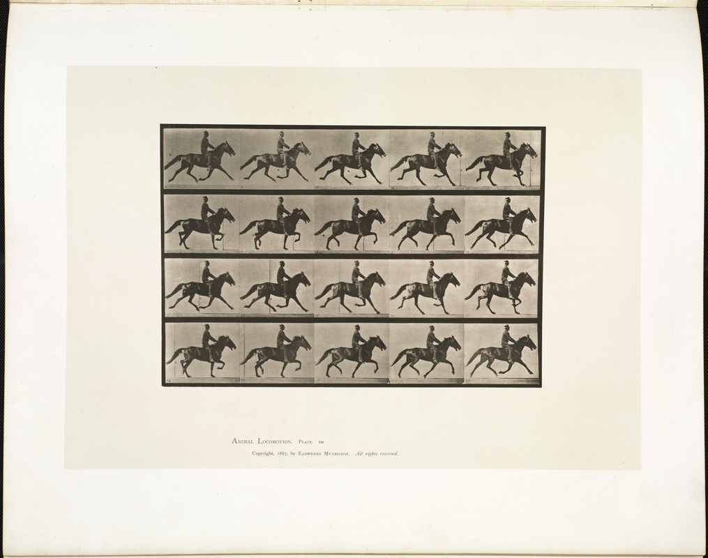 Animal locomotion. Plate 591