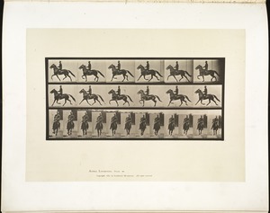 Animal locomotion. Plate 593