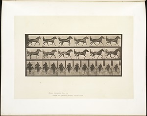 Animal locomotion. Plate 594