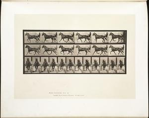 Animal locomotion. Plate 595