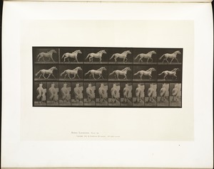Animal locomotion. Plate 596