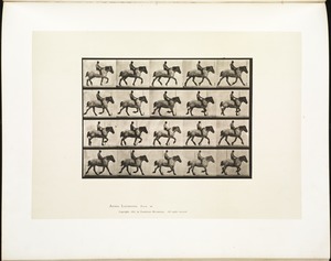 Animal locomotion. Plate 597