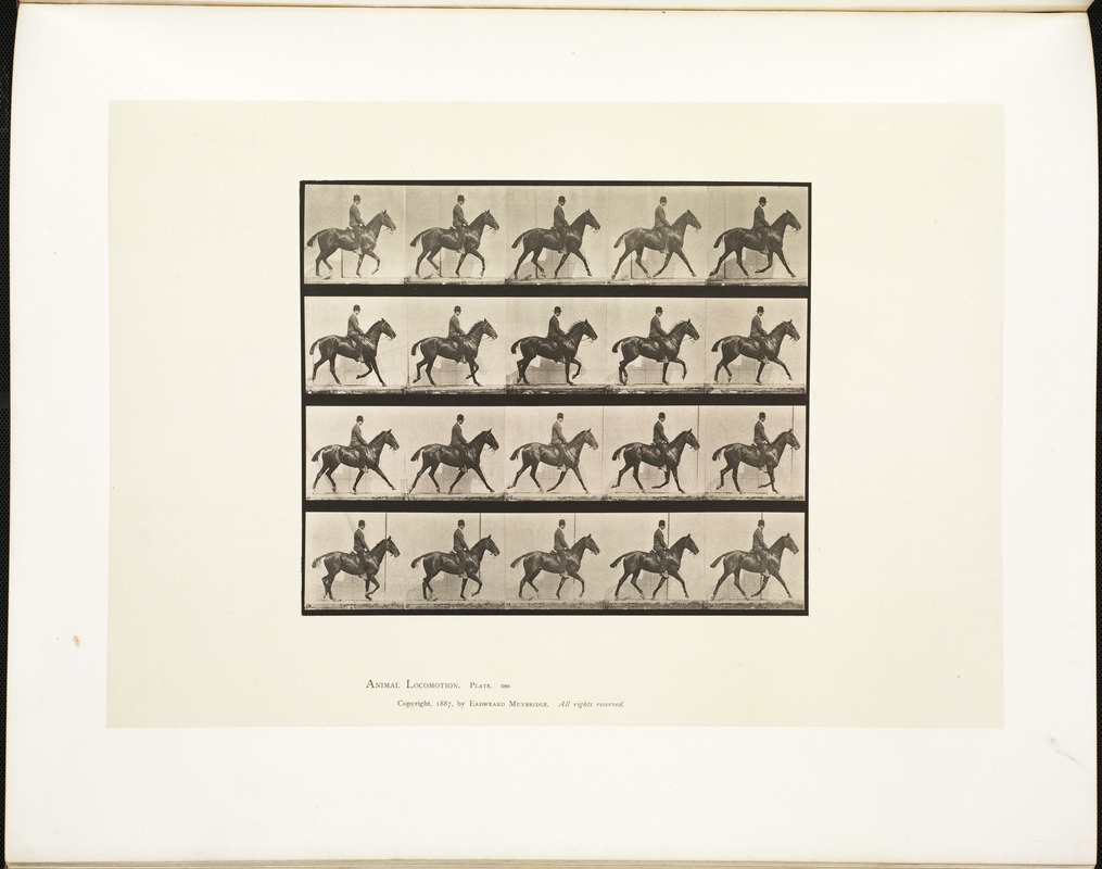 Animal locomotion. Plate 598