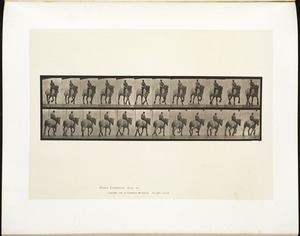 Animal locomotion. Plate 599
