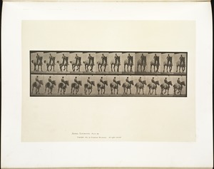 Animal locomotion. Plate 600