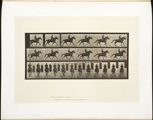 Animal locomotion. Plate 601
