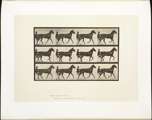 Animal locomotion. Plate 605