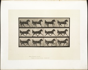 Animal locomotion. Plate 606