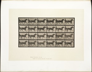 Animal locomotion. Plate 607
