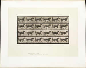 Animal locomotion. Plate 608