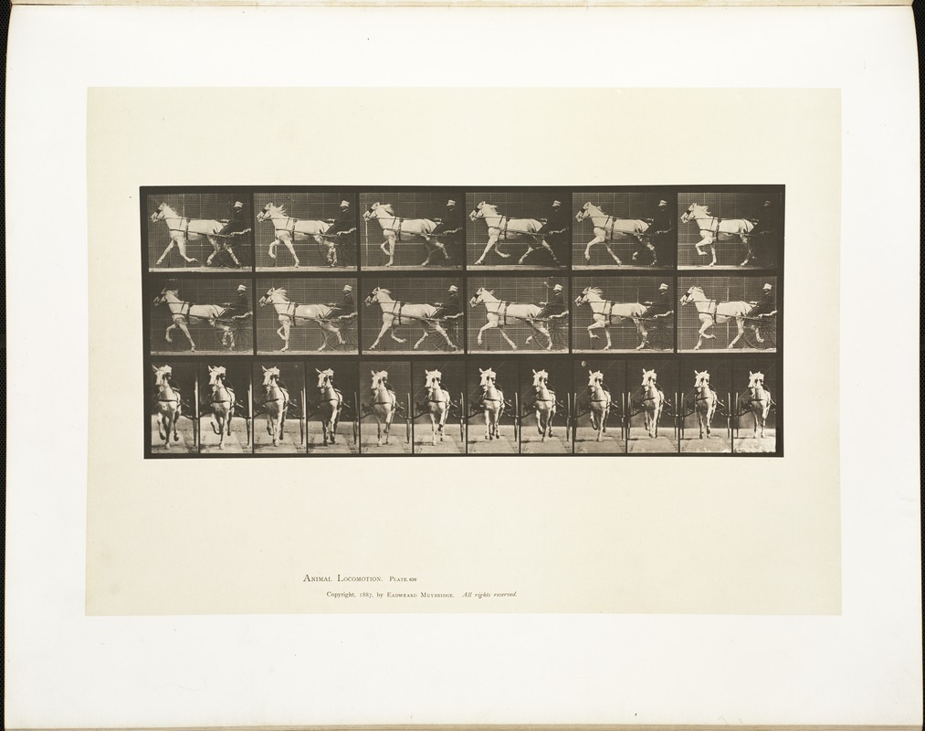 Animal locomotion. Plate 610