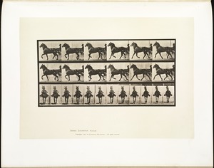 Animal locomotion. Plate 612