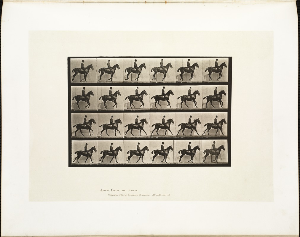 Animal locomotion. Plate 616