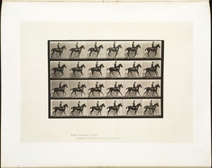 Animal locomotion. Plate 616