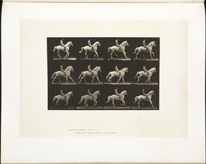 Animal locomotion. Plate 617