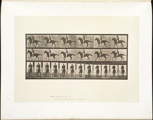 Animal locomotion. Plate 618