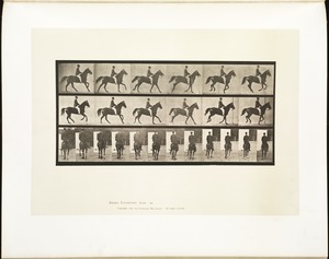 Animal locomotion. Plate 619