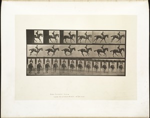 Animal locomotion. Plate 620