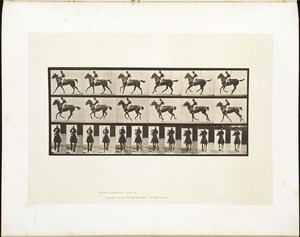Animal locomotion. Plate 621