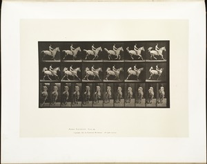 Animal locomotion. Plate 622