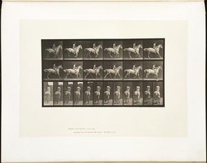Animal locomotion. Plate 623