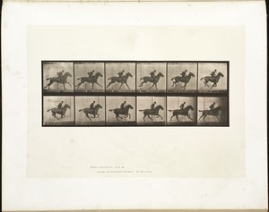 Animal locomotion. Plate 624