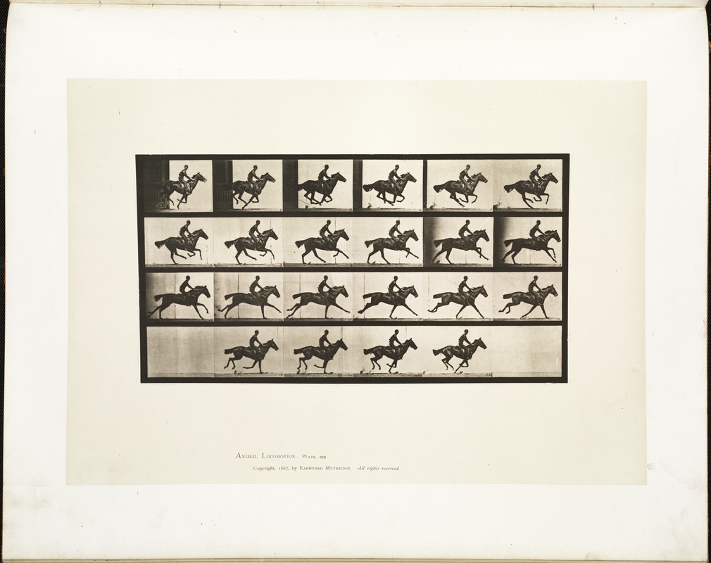Animal locomotion. Plate 625