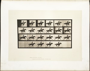 Animal locomotion. Plate 625