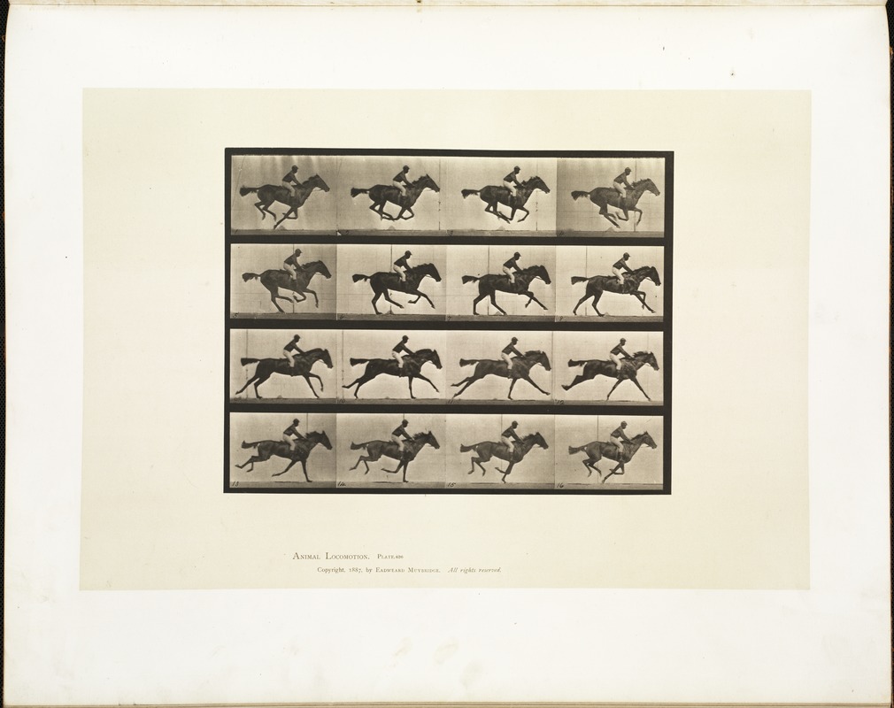 Animal locomotion. Plate 626