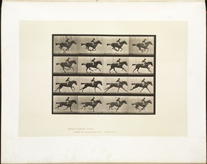 Animal locomotion. Plate 626