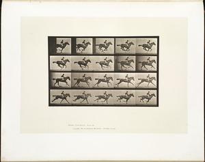 Animal locomotion. Plate 627
