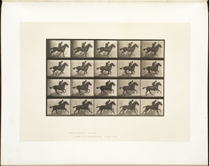 Animal locomotion. Plate 628