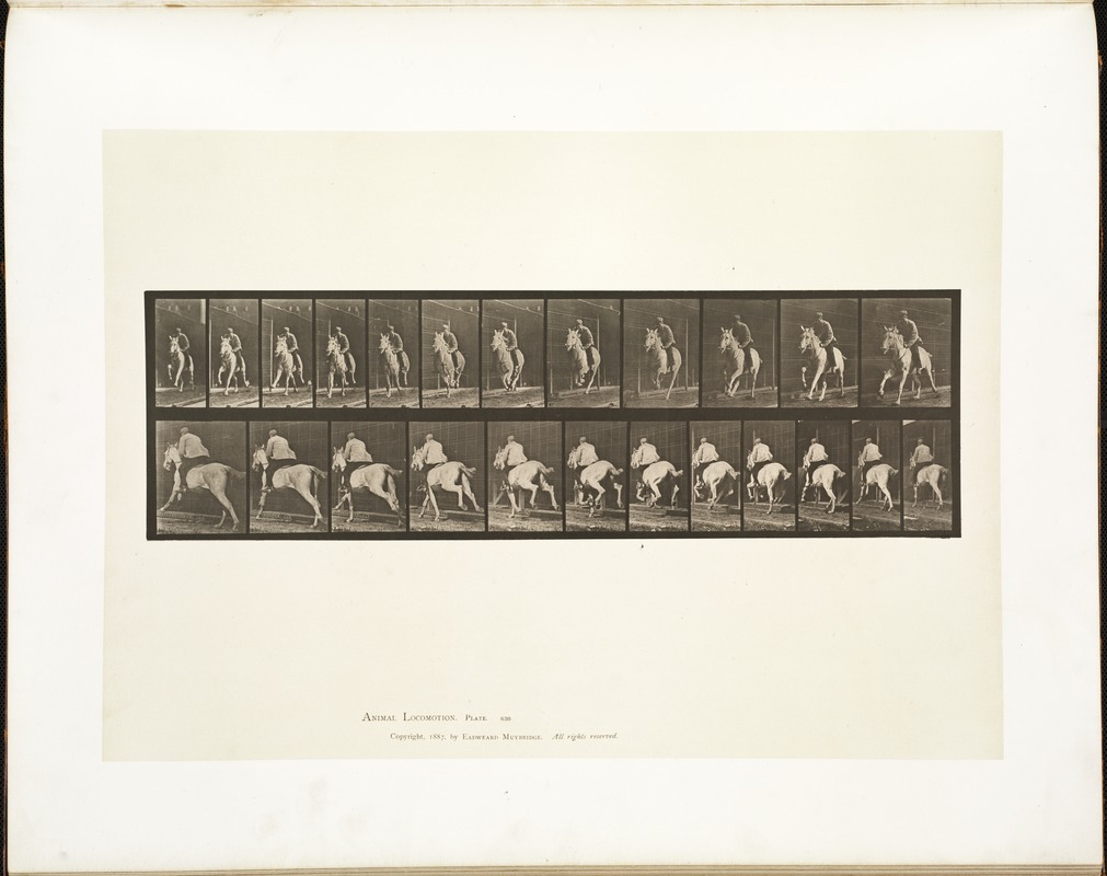 Animal locomotion. Plate 630