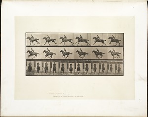 Animal locomotion. Plate 631