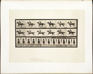 Animal locomotion. Plate 632