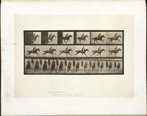 Animal locomotion. Plate 633