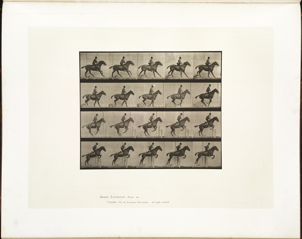 Animal locomotion. Plate 636