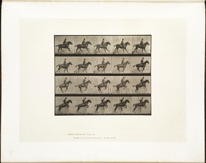 Animal locomotion. Plate 636
