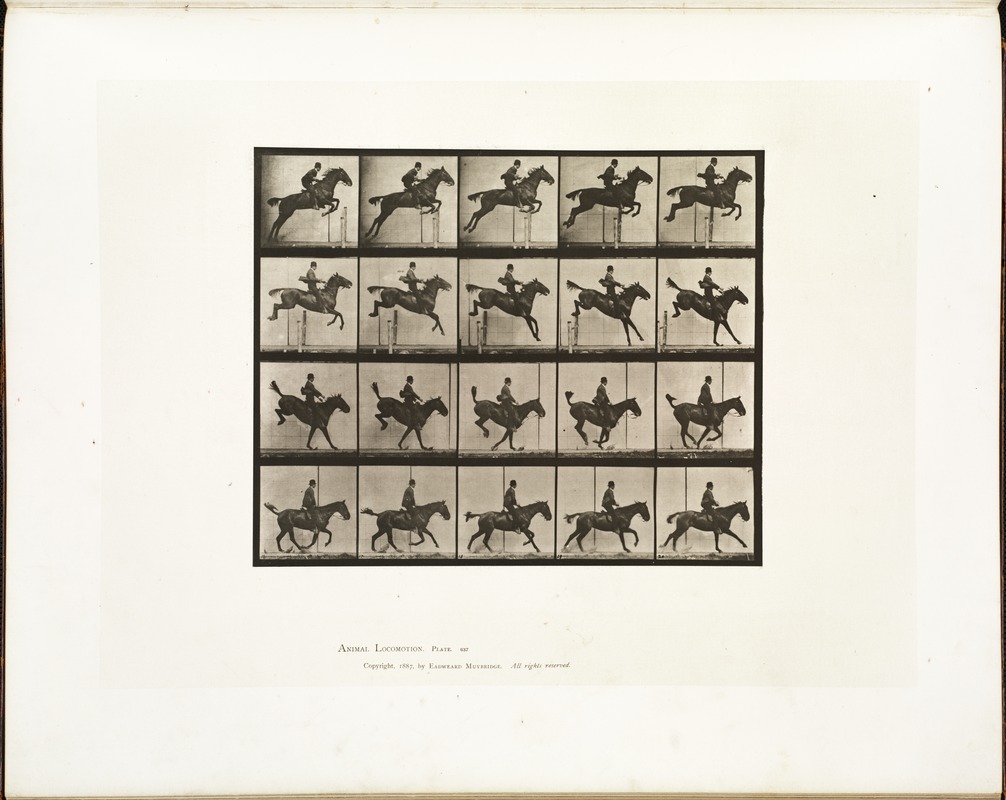 Animal locomotion. Plate 637