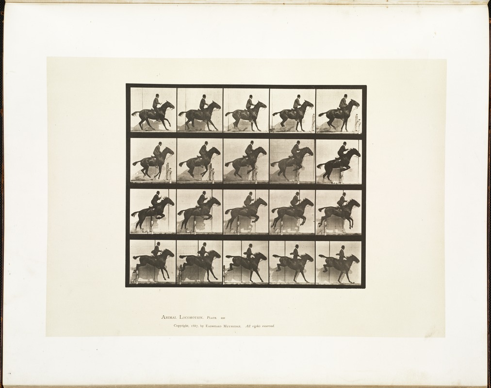 Animal locomotion. Plate 638