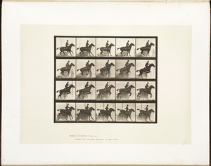Animal locomotion. Plate 638